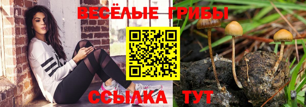 Псилоцибиновые грибы мицелий  наркотики  Дзержинск  Вход с VPN 